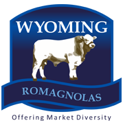 Wyoming Romagnola Stud Logo